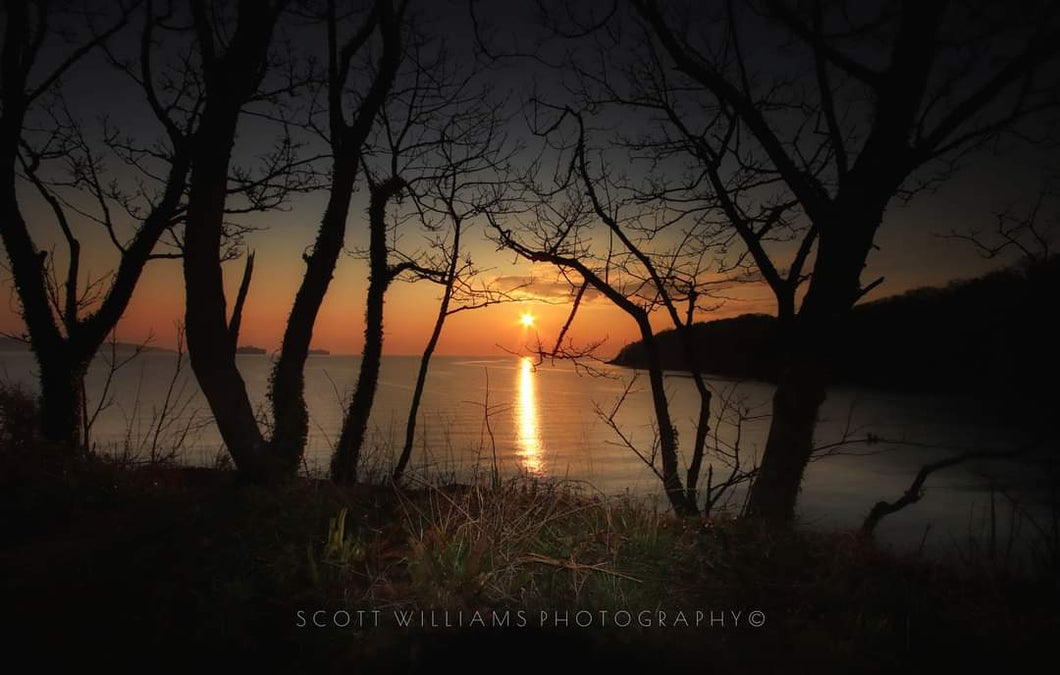 Elberry Cove 001 - Scott Williams Photography